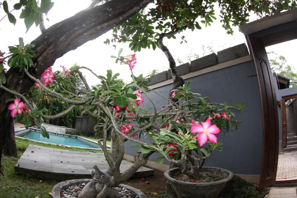 Villa D'Suite Seminyak Buitenkant foto